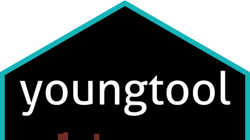 youngtool: Research Tool Package